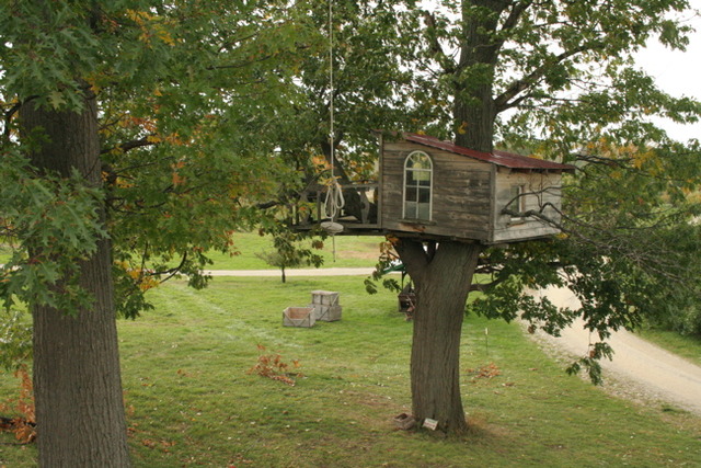 Yo planeaba construir la casa de árbol.