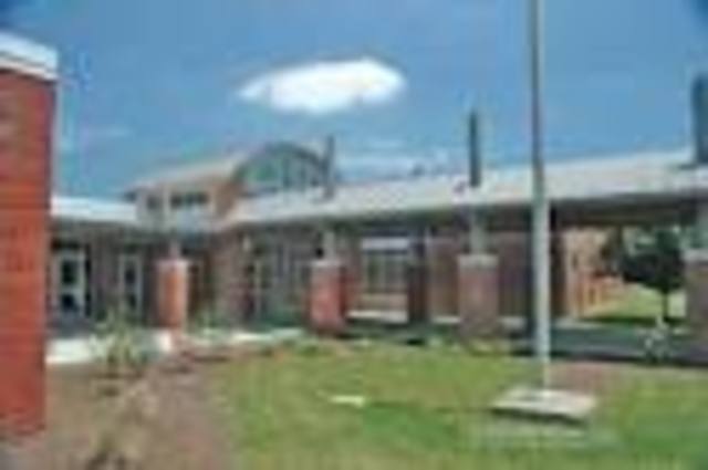 primer día de año junior