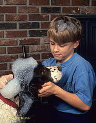 Cuando yo tenía cinco años, yo andaba los caballos con mi padre