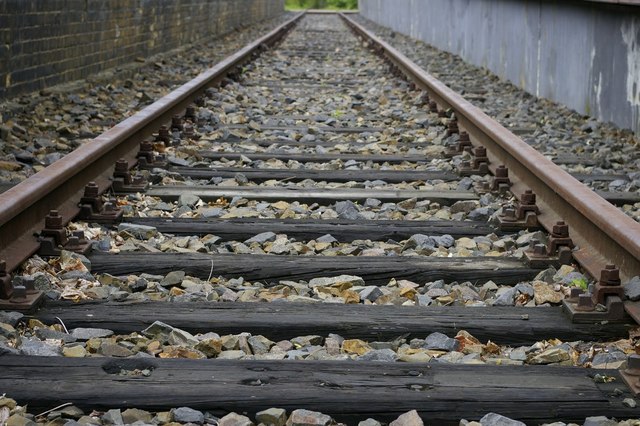 All foreign Jews were expelled from Signet.