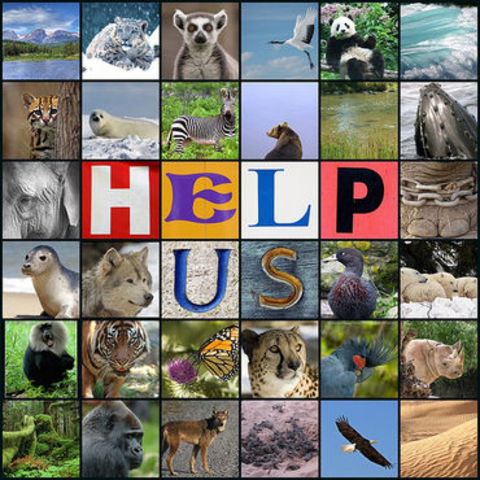 Endangered Species Act   Cites: http://en.wikipedia.org/wiki/Endangered_Species_Acthttp://www.humanespot.org/endangered?gclid=CObvt6Saj68CFRKBhwodsD1W0g