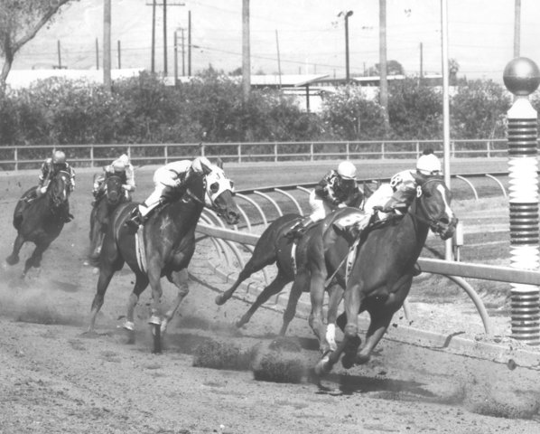 Legalized wagering on horse racing