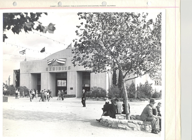 Expansion for Youth, Rabbit and Poultry Exhibits