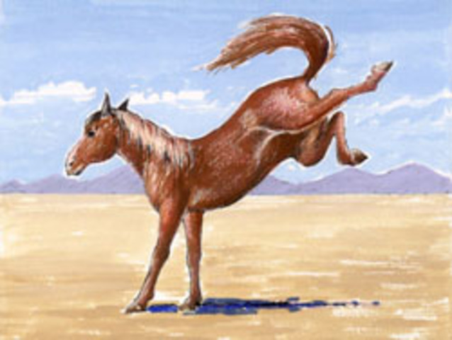 Mother dies and Abraham is thought to be dead