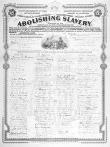 The Thirteenth Amendment