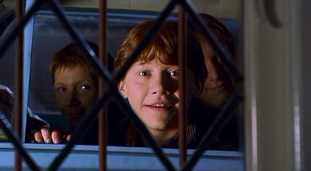 Harry Rescued by Weasleys