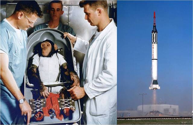 Ham, a chimpanzee, survives a sub-orbital flight on an American mission, Mercury 2.