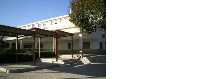 Empiezo una nueva vida... El Instituto