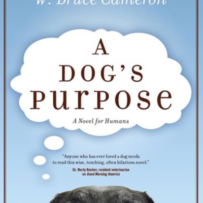 Timeline: A Dogs Purpose