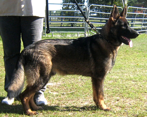 Ellie goes on her first search