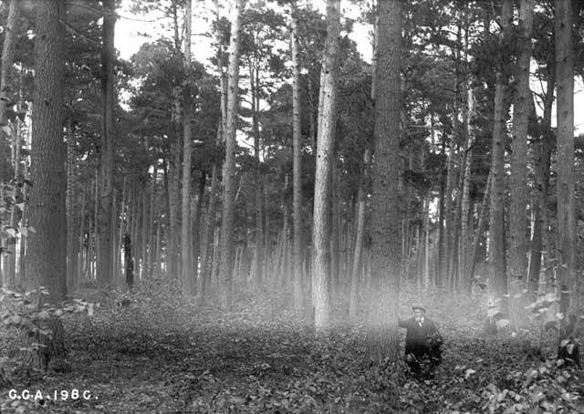 champlaign was injured