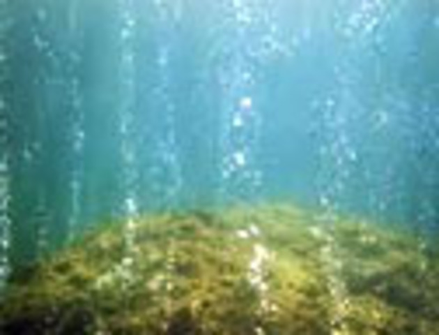 Problems for Dominica!