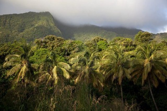 Dominica becomes a British possession!