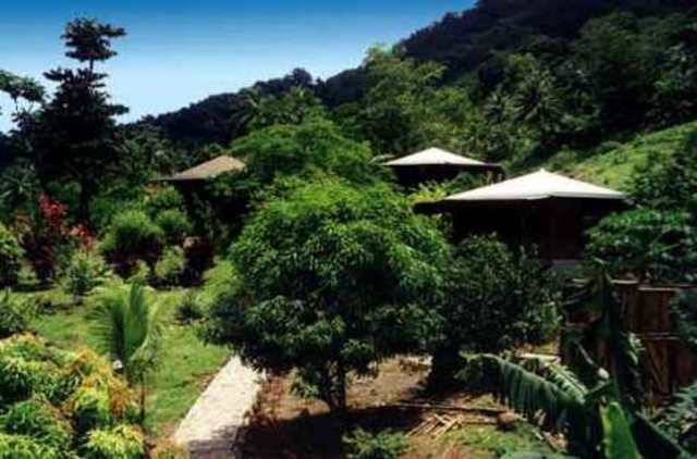 French fail at invasion!