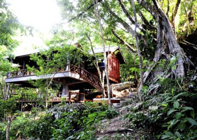 Brown Privilege Bill!