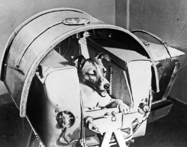 Sputnik 2, carrying the dog Laika for 7 days , in orbit is launched by U.S.S.R, and remains in orbut until April 13, 1958