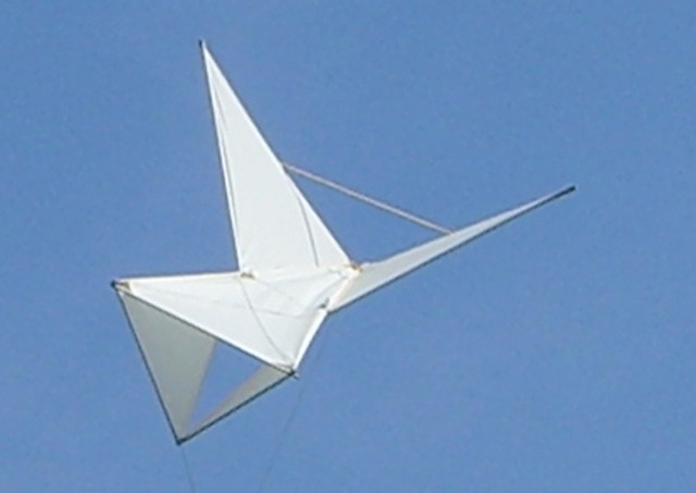 THE 1ST KITE
