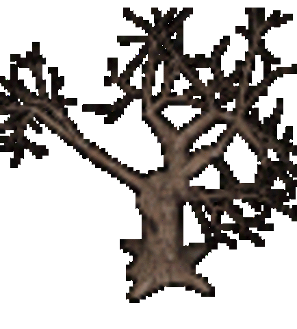 El Peino de Los Vientos