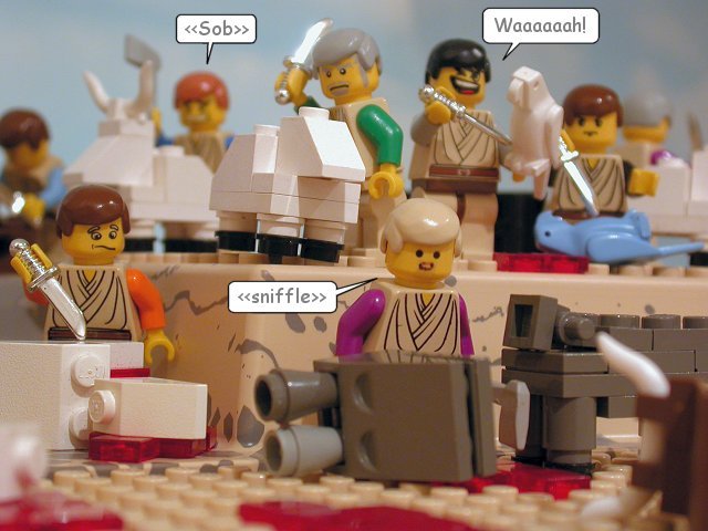 Judges Begin to Reign