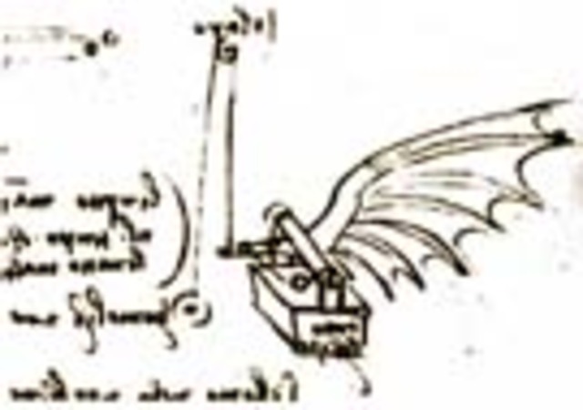 da Vinci's flying machine
