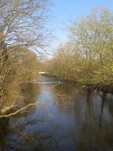 Red Cedar River Picture 8