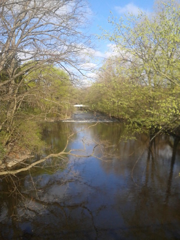 Red Cedar River Picture 9