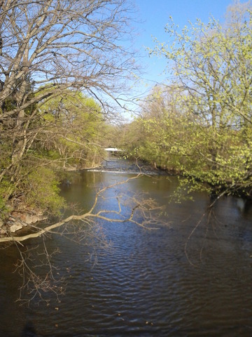 Red Cedar River Picture 10