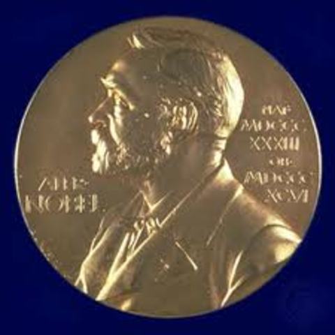 Albert  Einstein is awarded the Nobel Prize