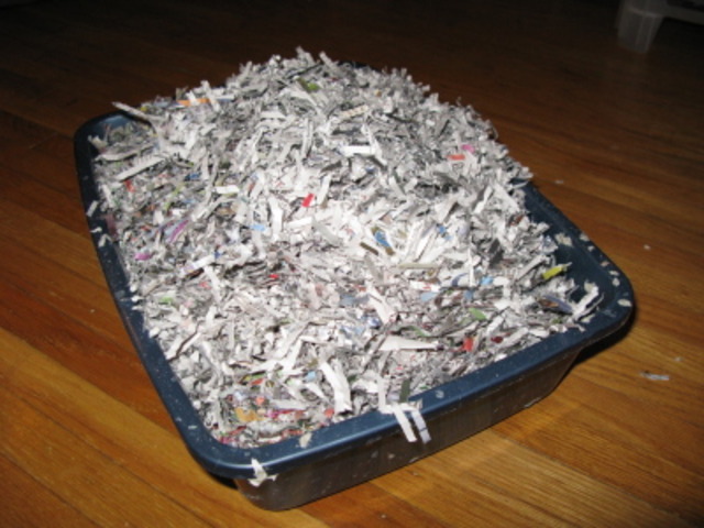 TV Surpasses Newspapers