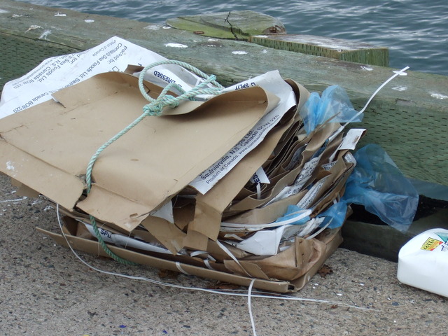 Formation of Marine Waste Management Committee