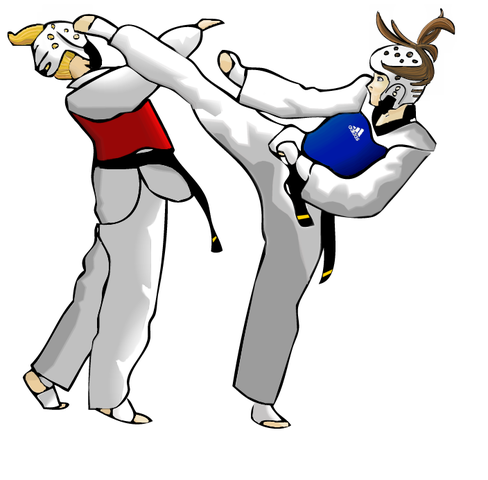 Taekwondo