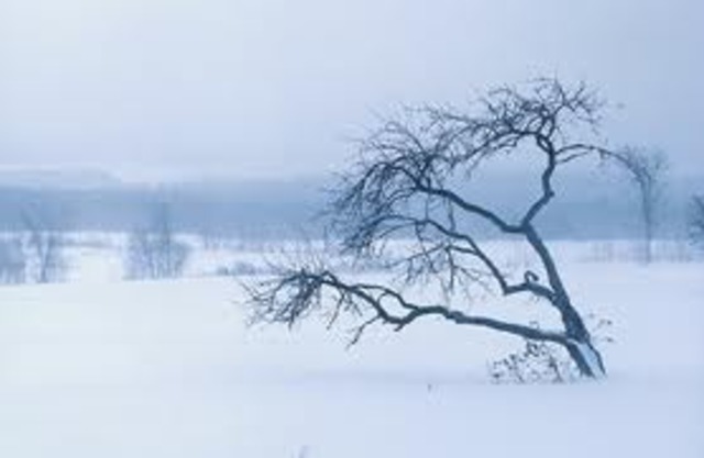 Devastating winter storms caused the Chehalis River to flood many cities in Lewis County, Washington, also closing a 20-mile portion of Interstate 5 for several days. At least eight deaths and billions of dollars of damaged are blamed on the floods.