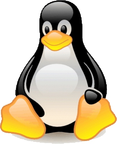 Se anuncia la version oficial de LINUX