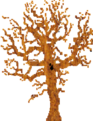 El Arbol de Las Nieves