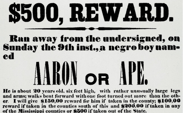 The Fugitive Slave Act