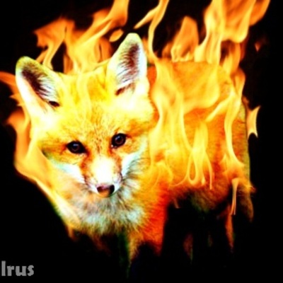 Timeline: Chinese History!