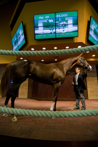 Barretts Equine Ltd.