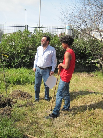Dia Mundial da Árvore