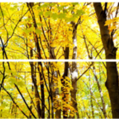 Timeline: Δράσεις της ομάδας μας