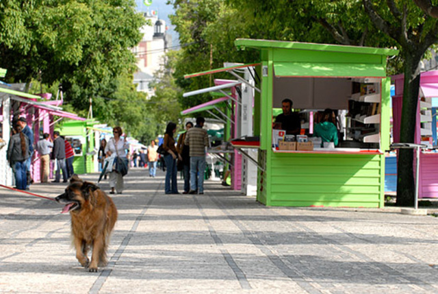 2º prémio no Concurso da Caminho