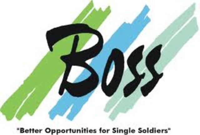 Words of the 70's- Boss