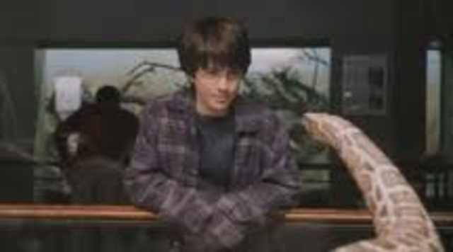 Dudley Dursley's Zoo Trip