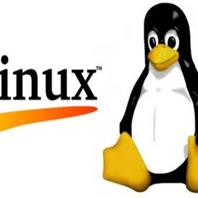 Timeline: codigo linux
