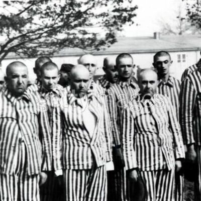 Timeline: Holocause survivor Shep Zitler