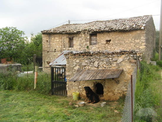 The Trip to Uncle Grady