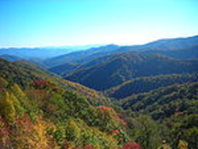 Great Smokey Mountains