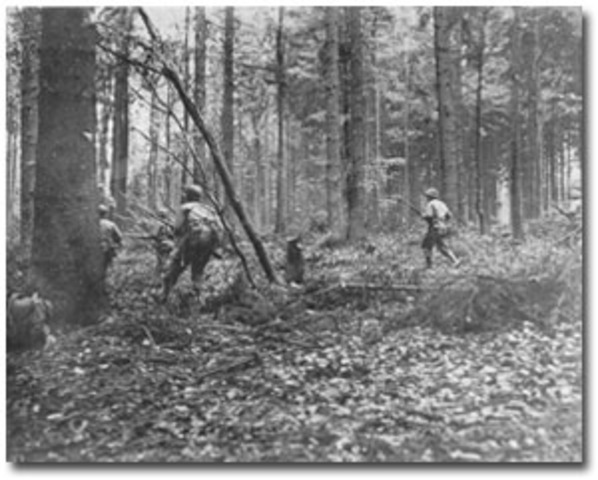 End of battle of Hürtgen Forest