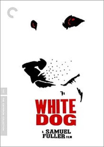 White Dog