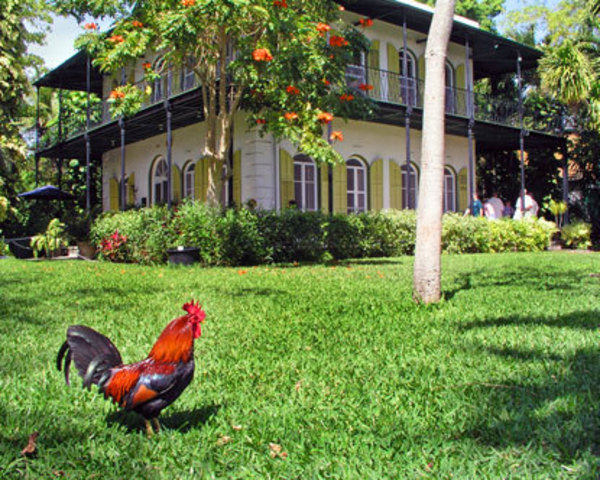 Bought a house in key west