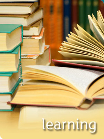 Standards & Frameworks Act